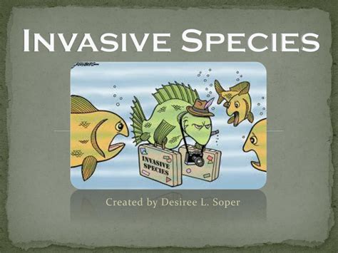 Ppt Invasive Species Powerpoint Presentation Free Download Id4149290