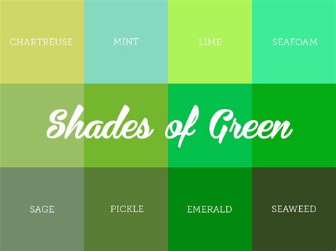 Understanding The Different Shades Of Green Green Color Names Shades