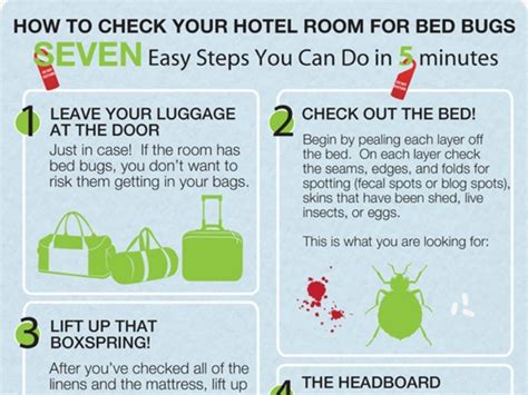 How To Check Your Hotel Room For Bed Bugs