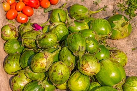 Vegetables At The Local Market Myanmar Stock Image Image Of Burmese