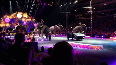 Ringling Bros And Barnum And Bailey Circus Dallas Tx August 2014 Youtube