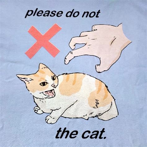 Please Do Not The Cat Fandom