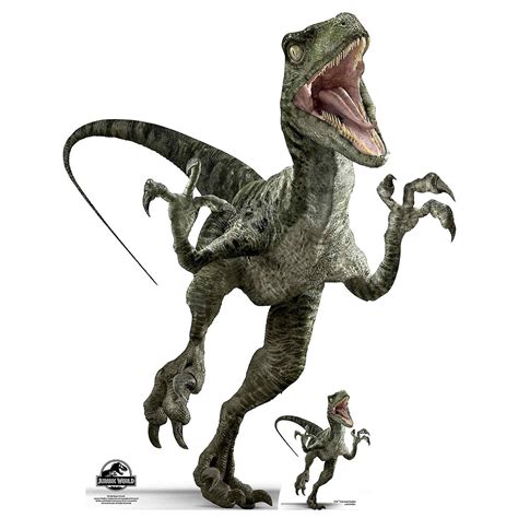 Velociraptor Charlie Official Jurassic World Lifesize Cardboard Cutout Standee Fruugo Uk