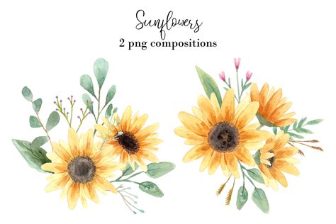 Watercolor Sunflowers Clipart By Slastick Thehungryjpeg
