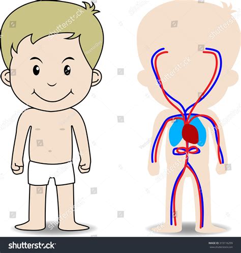 My Body Educational Anatomy Body Organ Chart For Kids Cute Cartoon