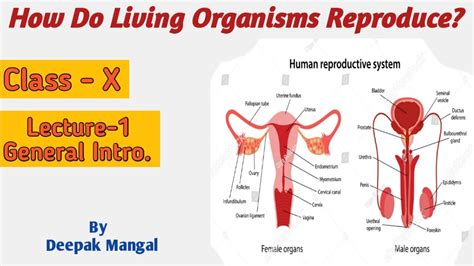 Class 10th Science How Do Living Organisms Reproduce Lecture 1