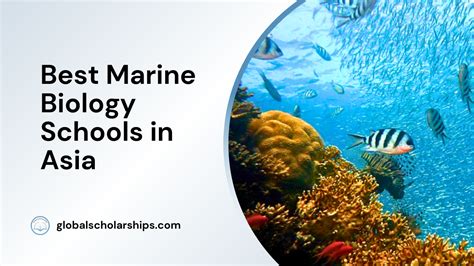 6 Best Marine Biology Schools In Asia Global Scholarships