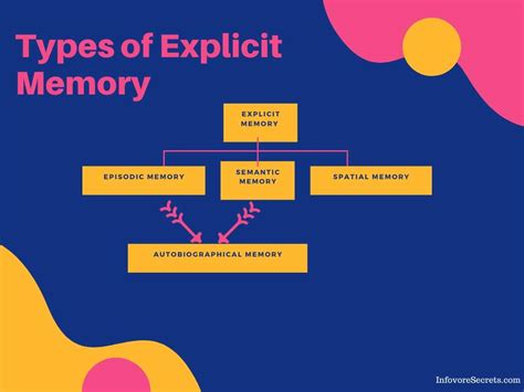 Demystifying The Explicit Memory A Laymans Guide Infovore Secrets