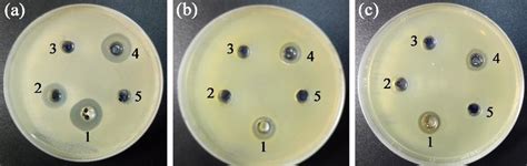 Antibacterial Activity By Well Diffusion Method