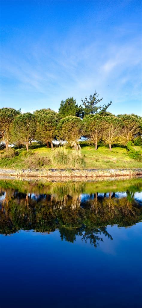 Green Trees 4k Wallpaper Blue Sky Golf Course Pond Water