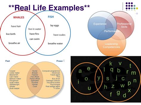 Diagram Tree Diagram Real Life Examples Mydiagramonline