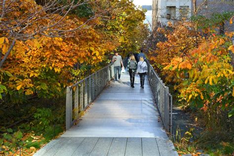 People In High Line Elevated Linear Park Greenway And Rail Trail