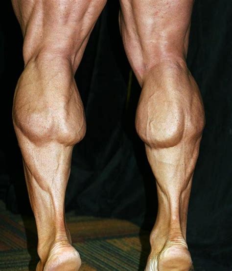 Bodybuilding Calf Muscles