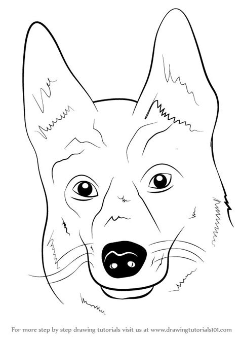 At the same time, the mature german shepherds are quite big, strong, and smart. Learn How to Draw German Shepherd Dog Face (Farm Animals ...