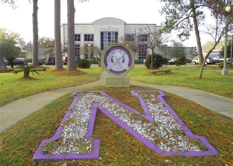 Top 10 Coolest Clubs At Northwestern State University Oneclass Blog