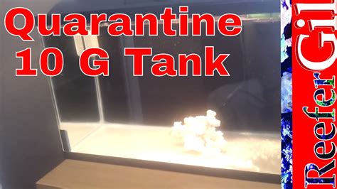 How To Quarantine Tank Setup Youtube