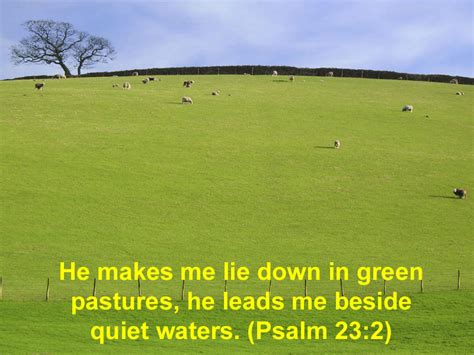 Greener Pastures Quotes 53 Koleksi Gambar