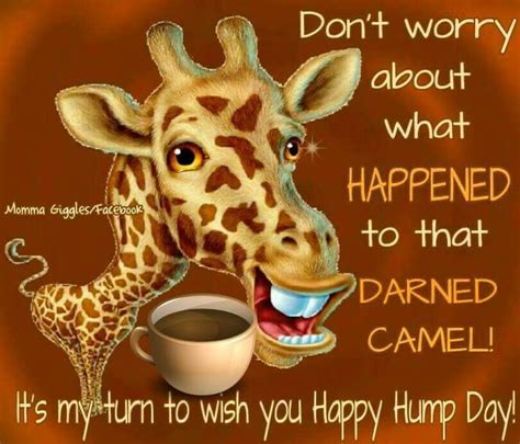 Pin By Brenda Guffey On Funny Things Cute Good Morning Images Good Morning Rainy Day Hump
