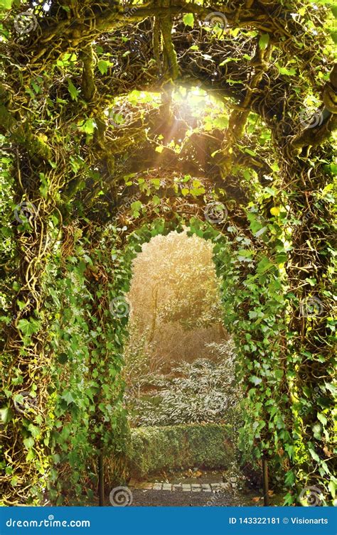 Archway Of Ivy Trellis In English Garden Stock Image Image Of Vines