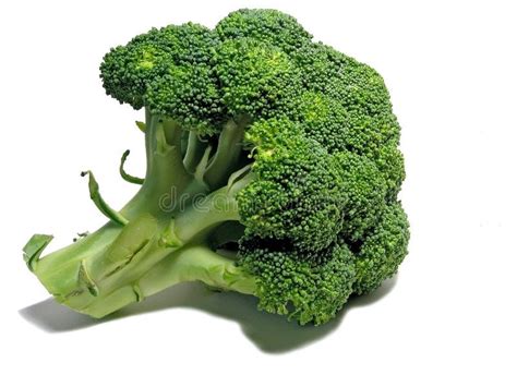 Broccoli Head Of Broccoli Over White Ad Head Broccoli White