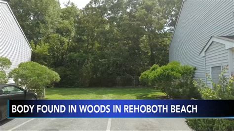 Delaware Body Found Man Found Dead In Wooded Area Behind East Atlantic