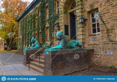 Princeton Usa Novenber 12 2019 The Twin Tiger Statues At The