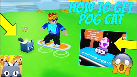 How To Get Pog Cat In Pet Simulator X New Egg Roblox Youtube