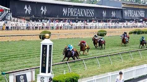 2023 preakness black eyed susan picks best bets for friday s slate at pimlico