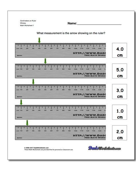Centimeters On Ruler Wholes Worksheet Metric Measurement Worksheet
