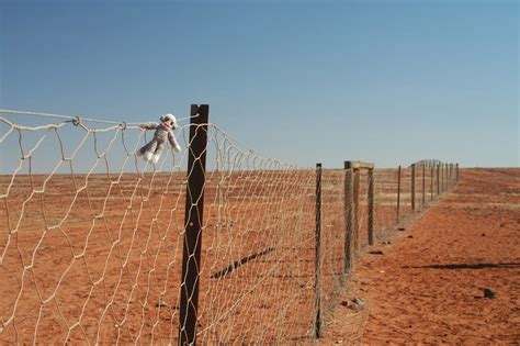 Dingo Fence Australias 5600km Dog Fence Amusing Planet