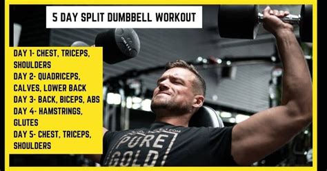 5 Day Dumbbell Workout Without Bench