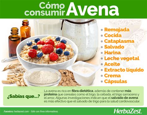 Avena Herbazest