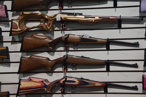 Gaos Keystone Sporting Arms Crickett Precision Rifle The Firearm
