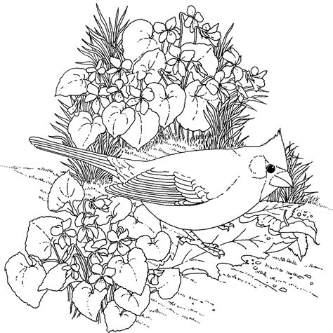 Adult Coloring Pages Flowers To Download And Print For Free