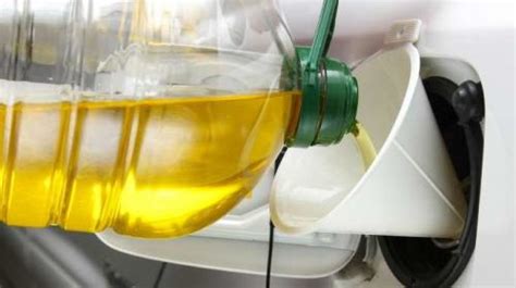 Pros And Cons Of Using Vegetable Oil As Fuel
