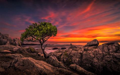 Beautiful Sunset In Horizon Ocean Wallpaper Hd Nature 4k