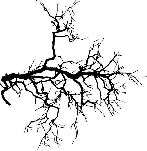 Creepy Tree Png