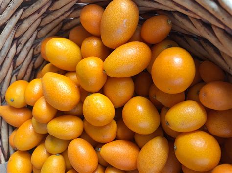 How To Eat Kumquat And Why You Should Organically Blissful