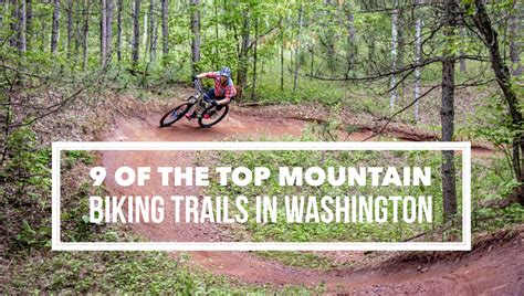 9 Of The Top Mountain Biking Trails In Washington Bike Trails