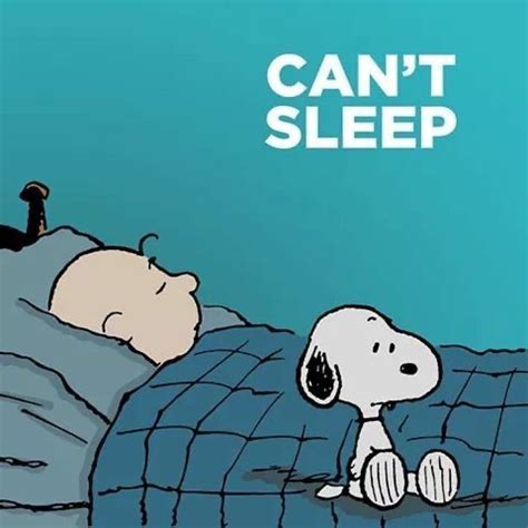 Snoopy Quotes On Instagram “give Me One Emoji Before I Sleep ☃️😴” Snoopy Quotes Snoopy