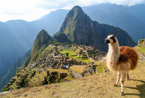 11 Top Rated Peru Tourist Attractions To Visit Rainforest Cruises