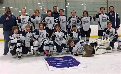 youth hockey rwd peewee team wins state title