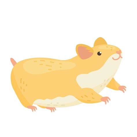 Hamster Illustration Vector Isolated Element 23863280 Vector Art At