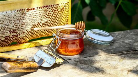 Romanian Beekeepers Ask To Stop Cheap Honey Imports Euractiv