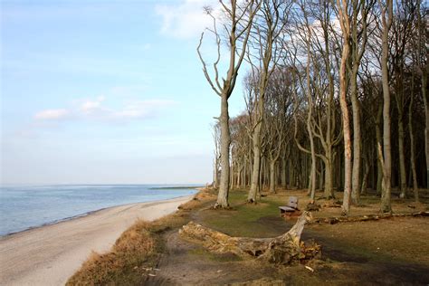 Kostenlose Foto Strand Landschaft Meer Küste Baum Natur Wald