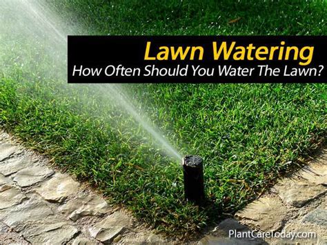 Lawn Watering And Irrigation Tips Guidelines Schedules And More