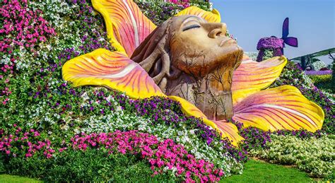 Miracle Garden Dubai 10 Things To Know Before You Go Blog