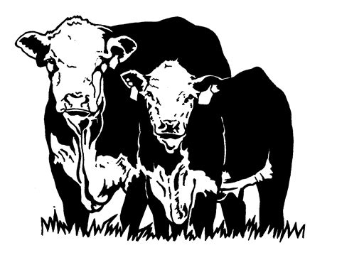 Hereford Cow Clipart 10 Free Cliparts Download Images On Clipground 2024