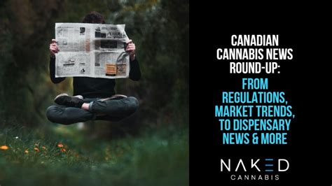 Canadian Cannabis News Roundup Market Watch Dispensaries Etc