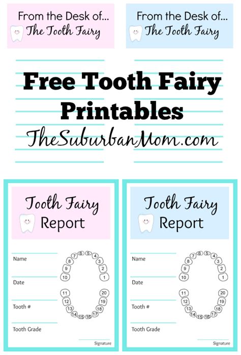 Tooth Fairy Ideas And Free Printables Tooth Fairy Letterhead Report Card